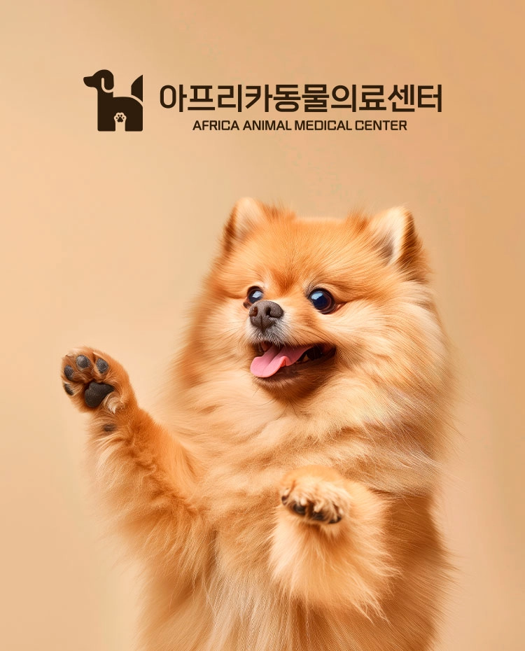 아프리카동물의료센터 thumb