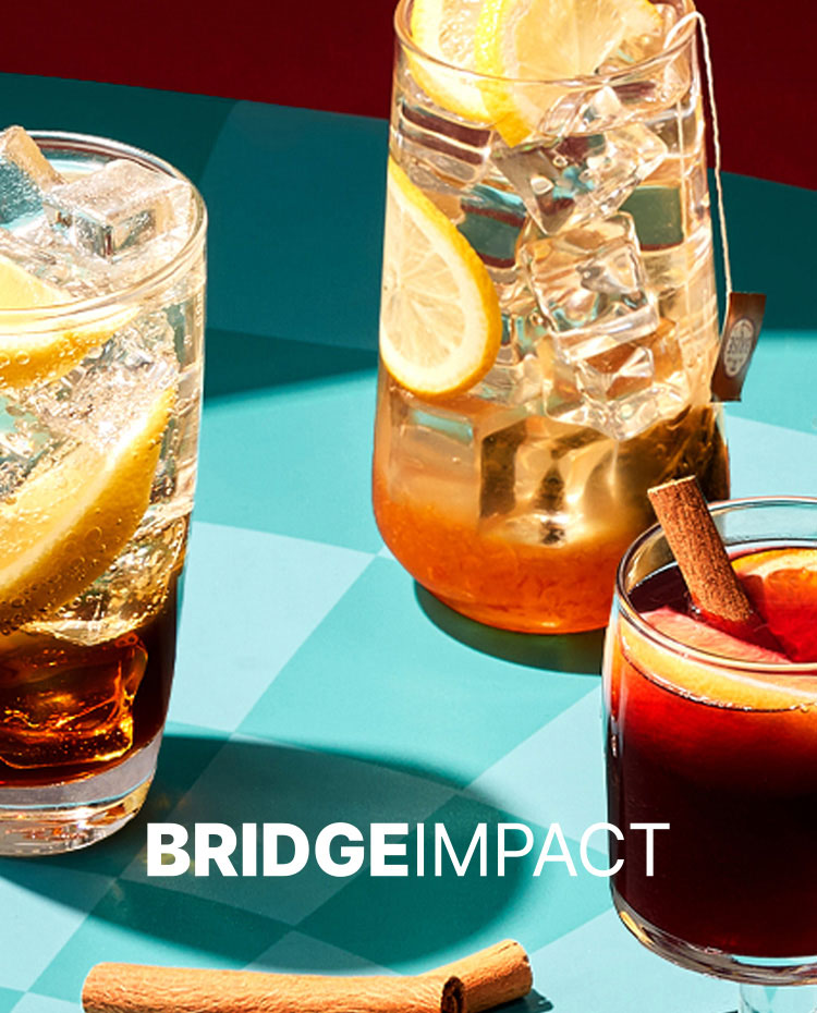 Bridgeimpact thumb
