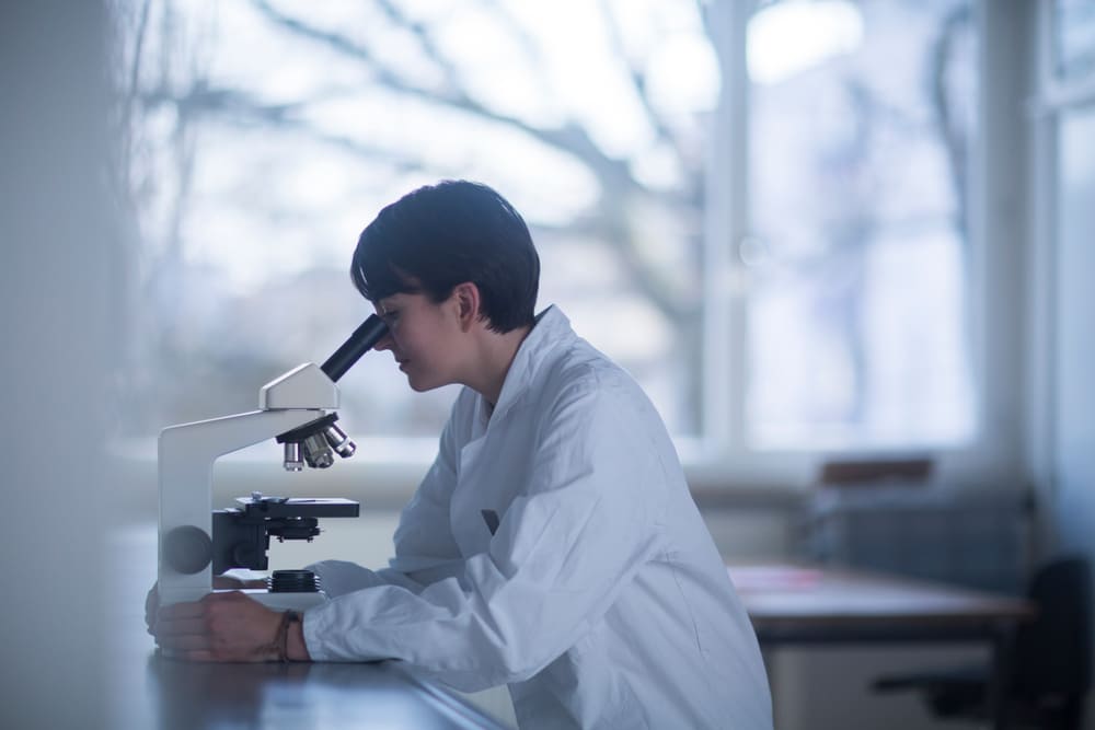 연구실 홈페이지 제작비용